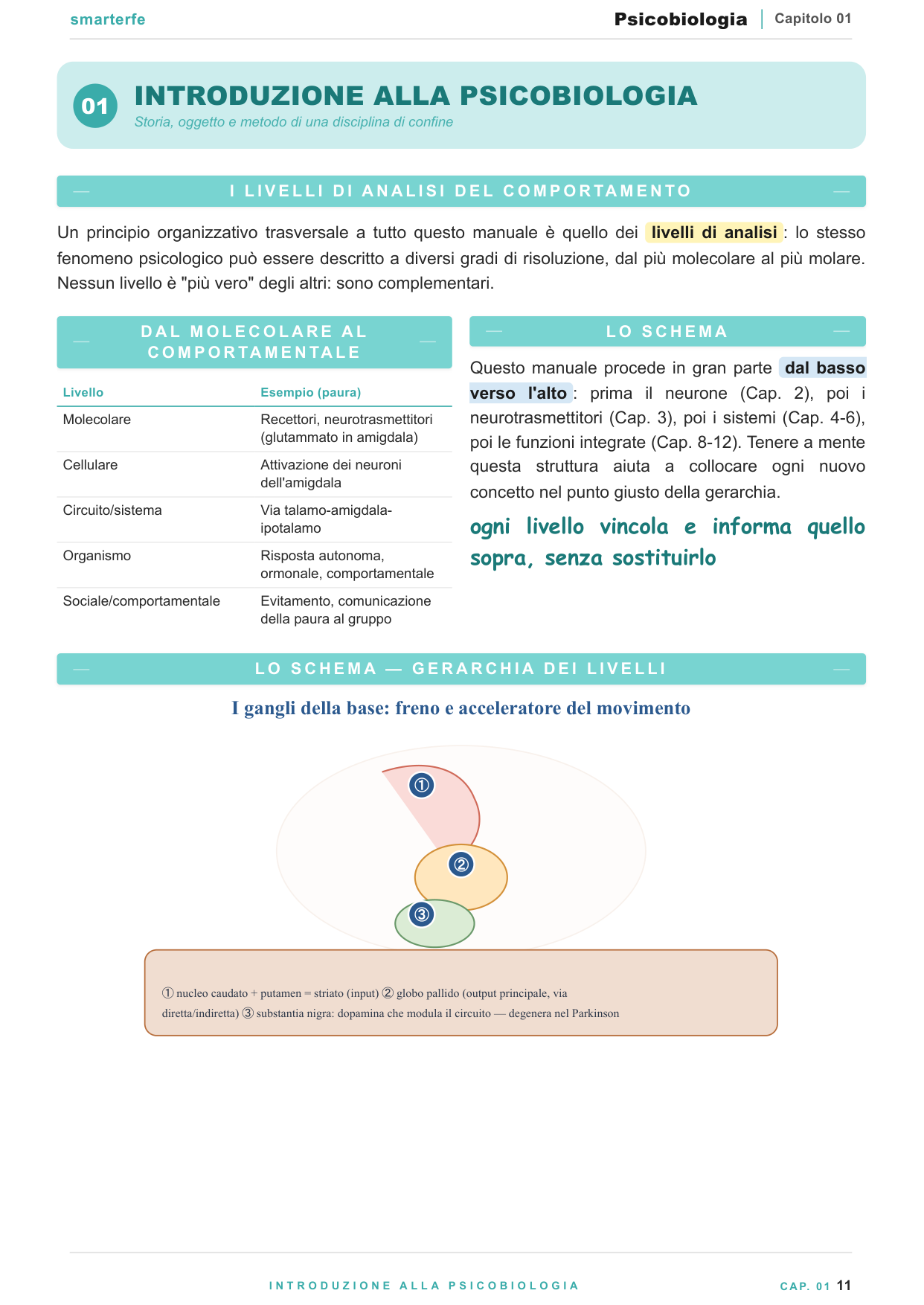 Neurotrasmettitori e vie funzionali