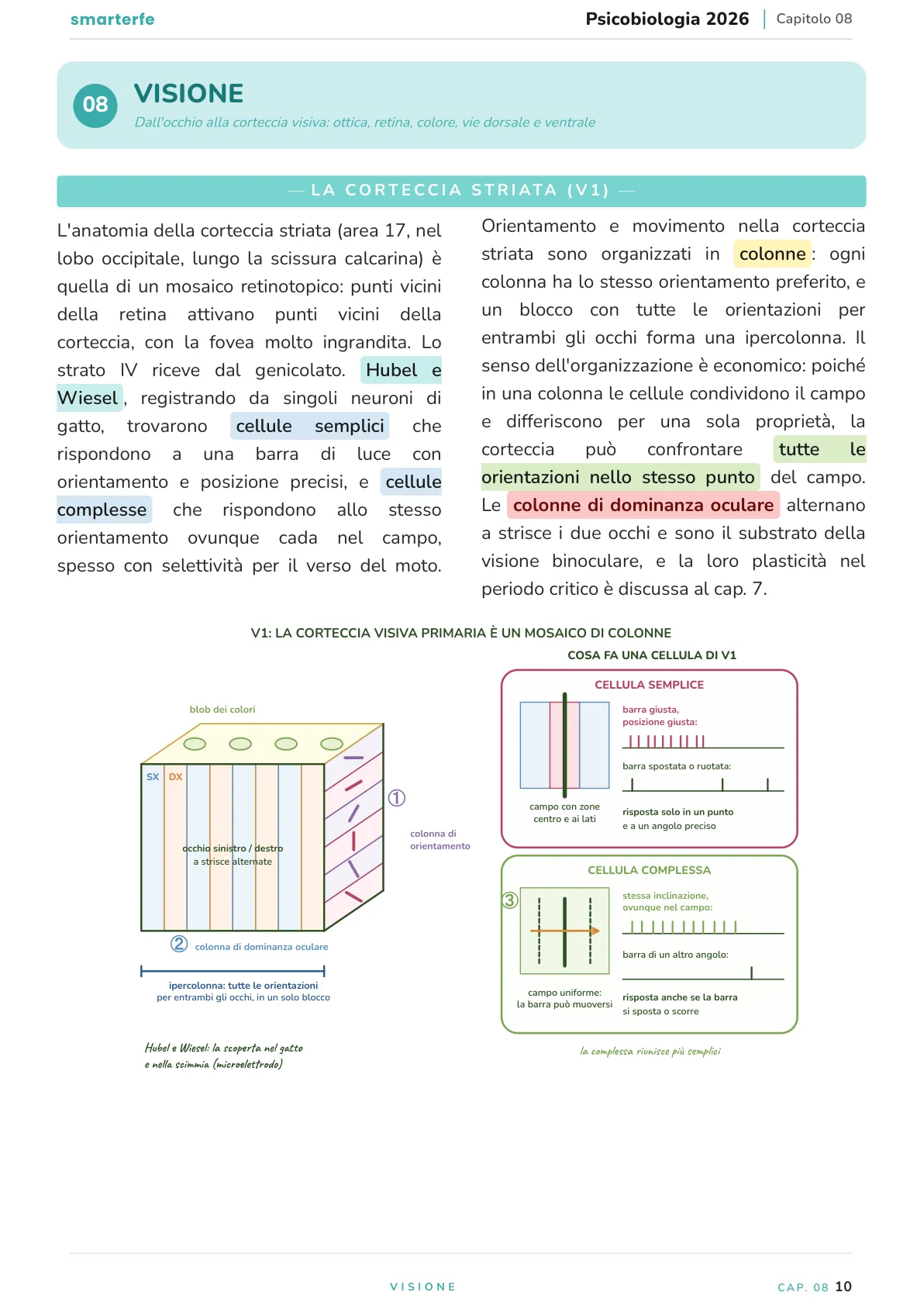Lo stesso argomento sulle Dispense SmarterFe: schema, passaggi numerati, colori