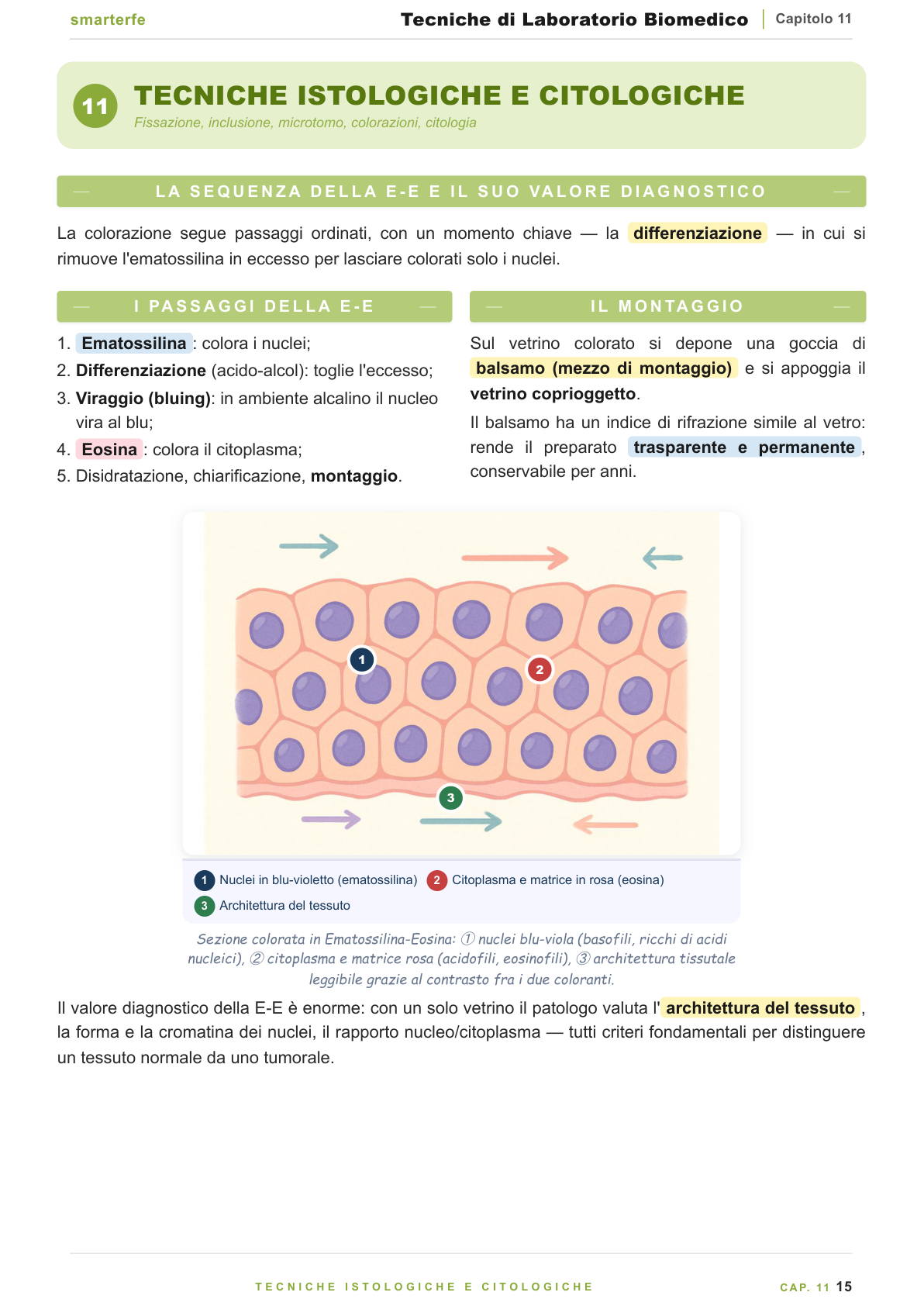 Microscopia e citometria a flusso