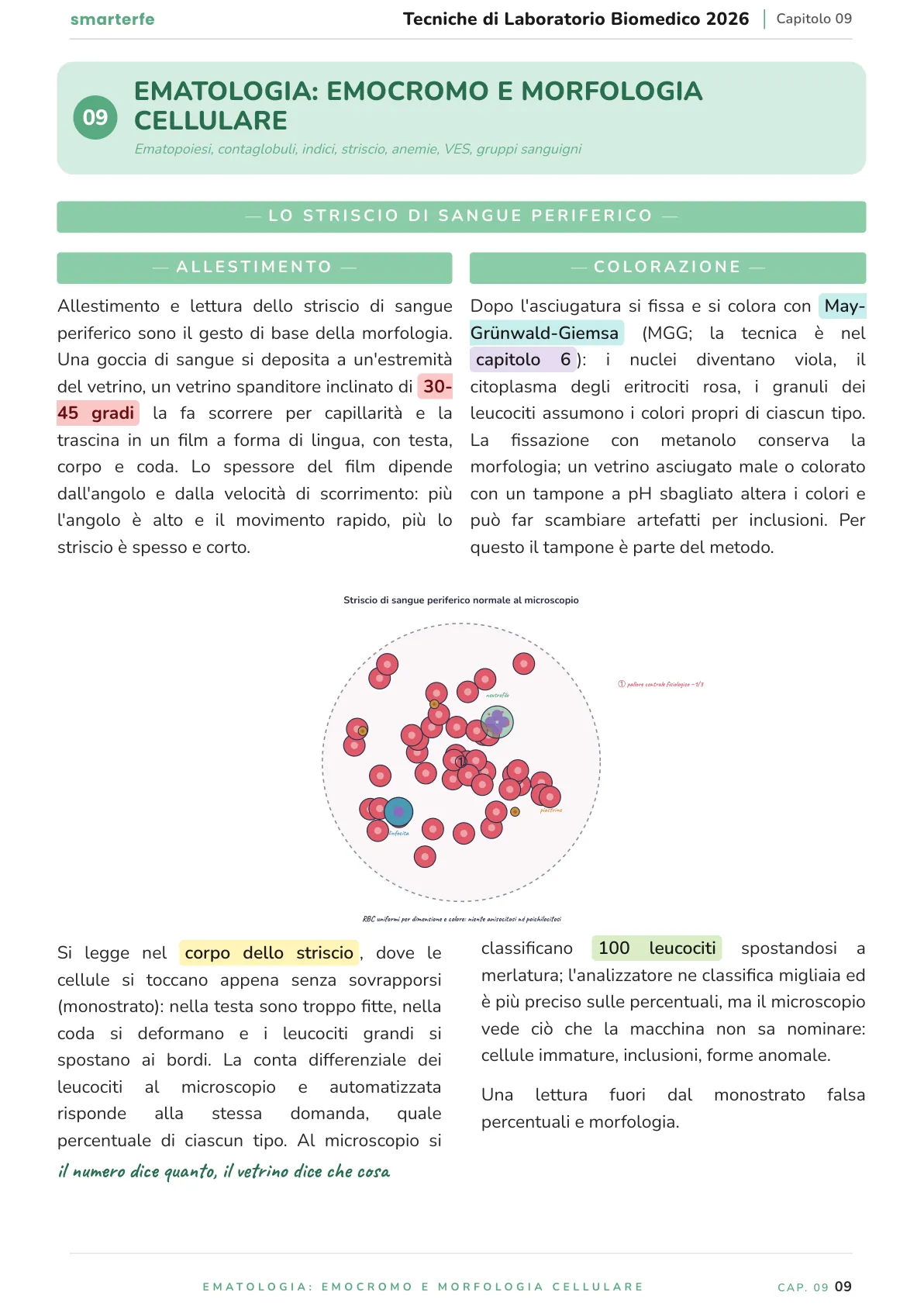 Lo stesso argomento sulle Dispense SmarterFe: schema, passaggi numerati, colori