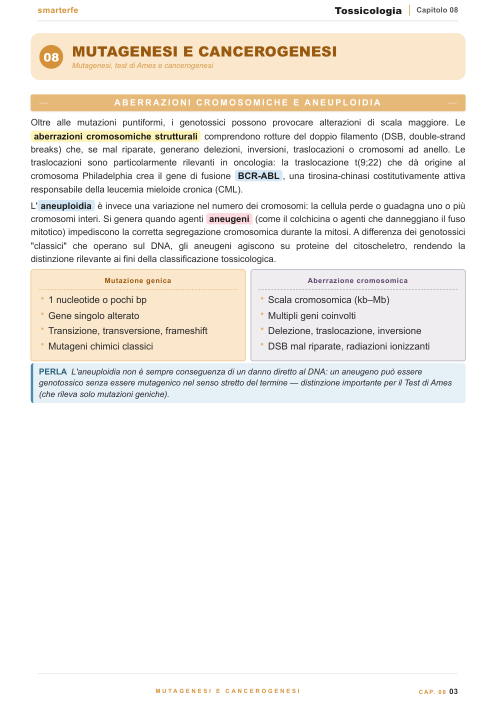 Biotrasformazione e bioattivazione — CYP450, fase I e fase II