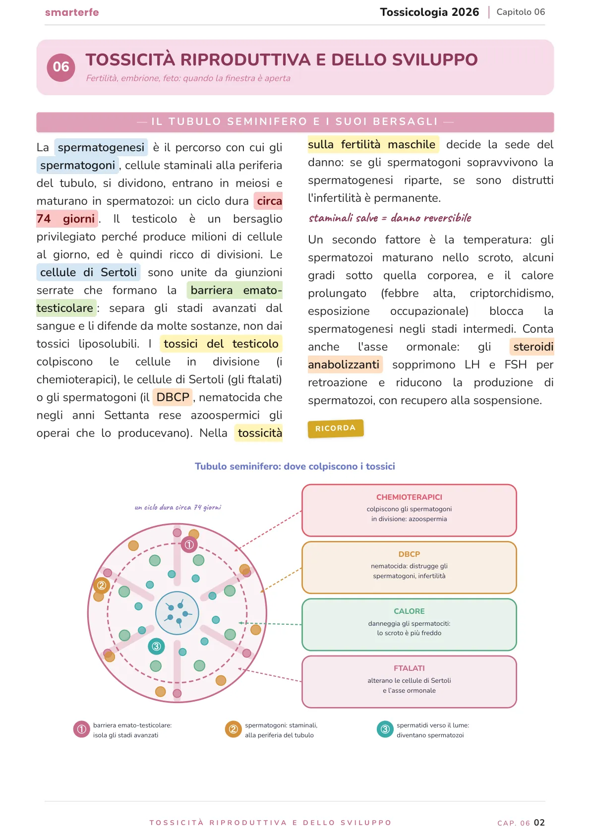 Lo stesso argomento sulle Dispense SmarterFe: schema, passaggi numerati, colori