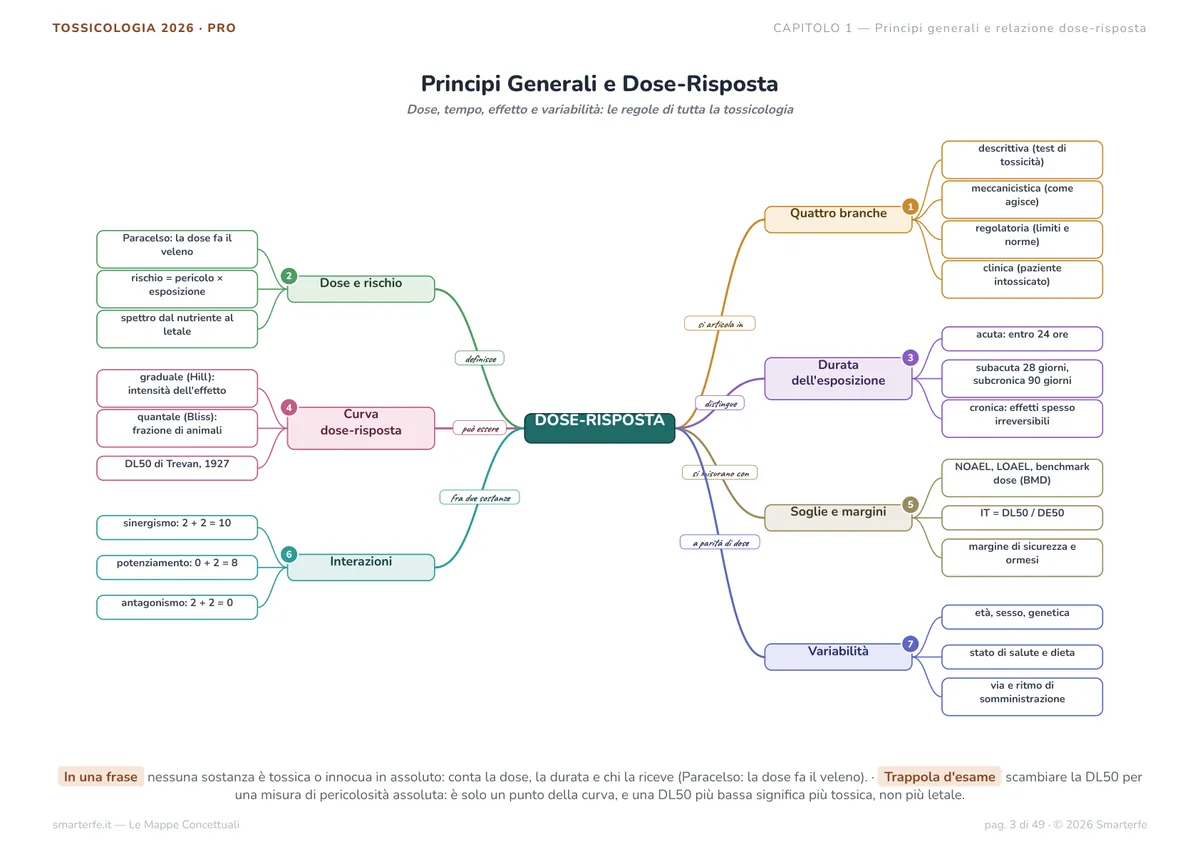 Mappe Concettuali