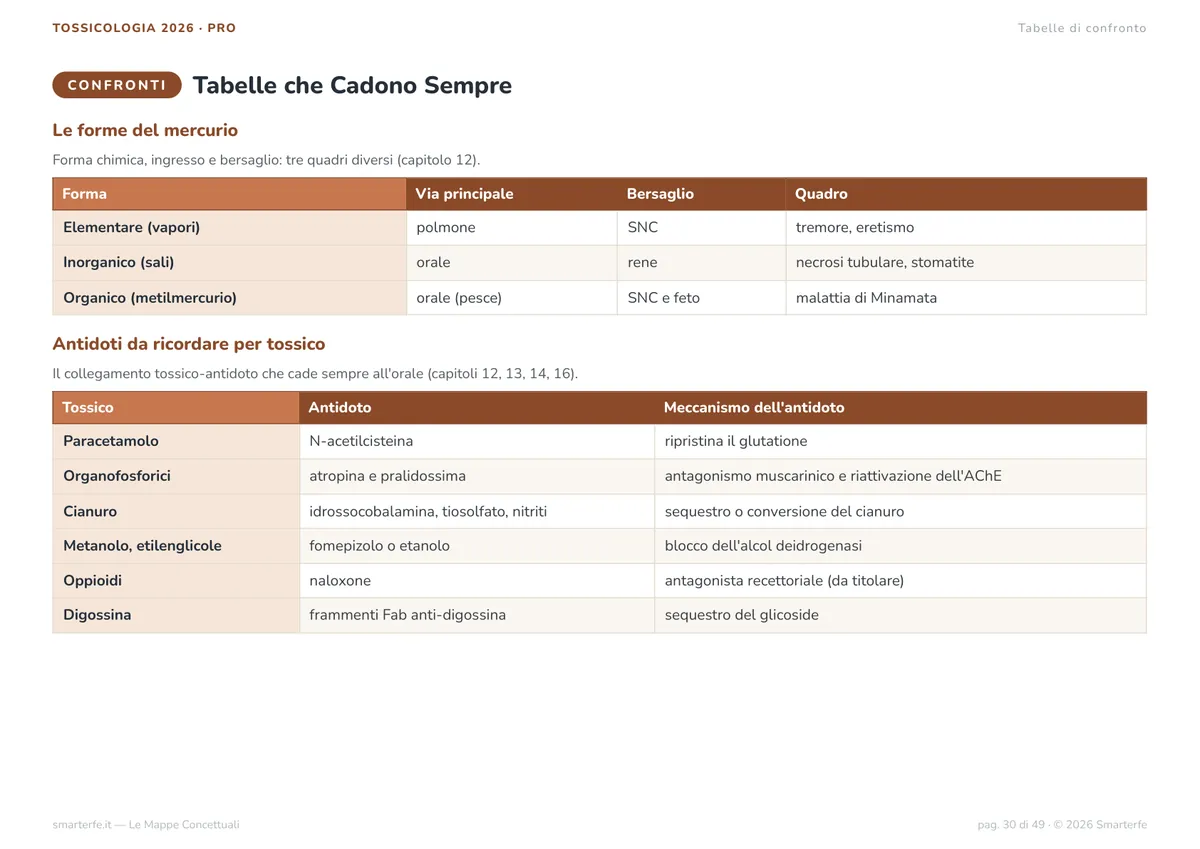 Mappe Concettuali