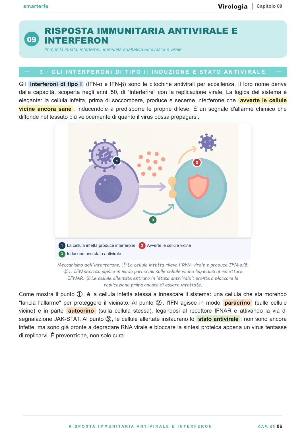 Retrovirus e HIV — trascrittasi inversa e ciclo replicativo