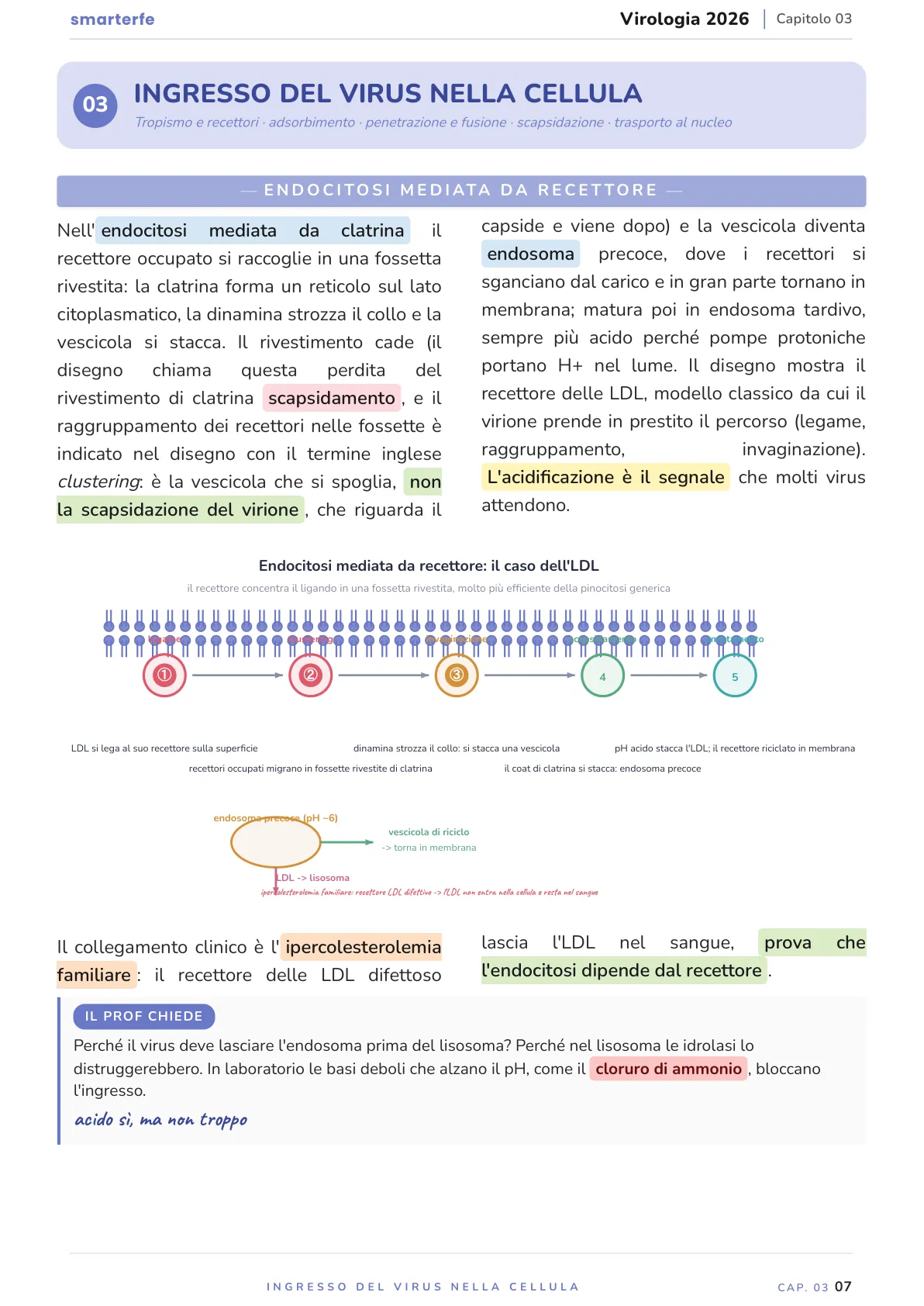 Lo stesso argomento sulle Dispense SmarterFe: schema, passaggi numerati, colori