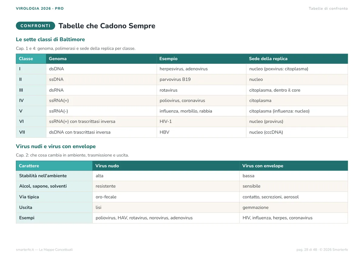 Mappe Concettuali
