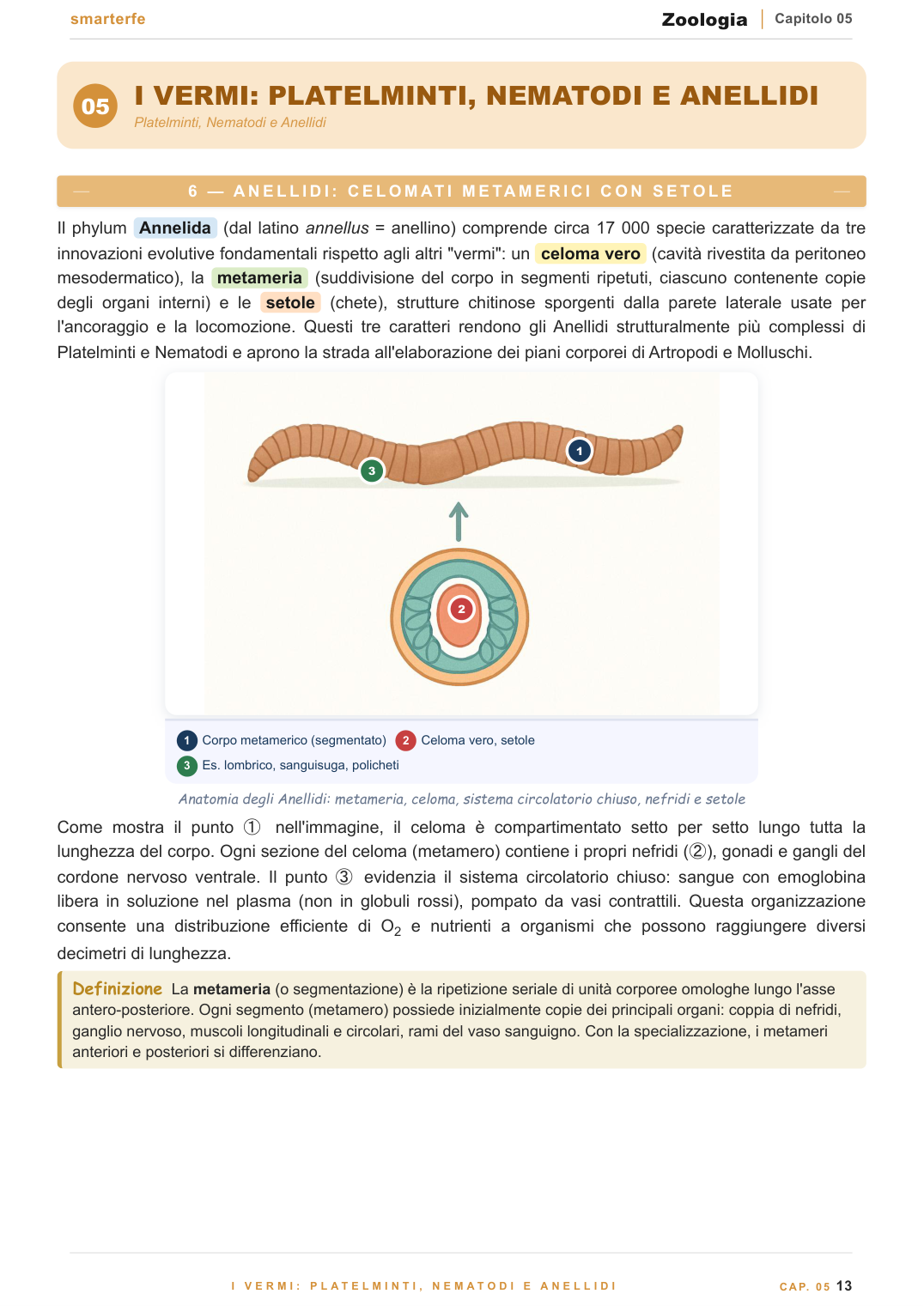 Invertebrati — Artropodi e struttura degli insetti