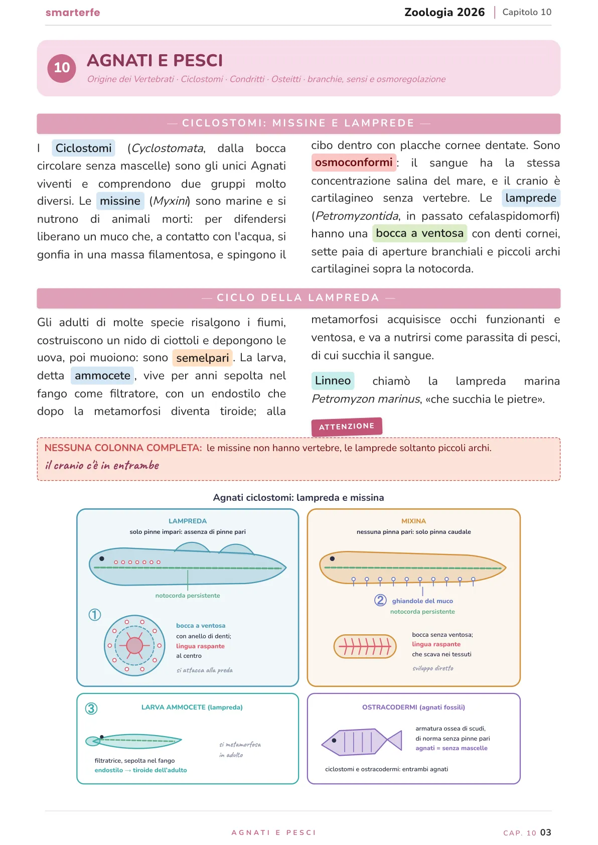Lo stesso argomento sulle Dispense SmarterFe: schema, passaggi numerati, colori