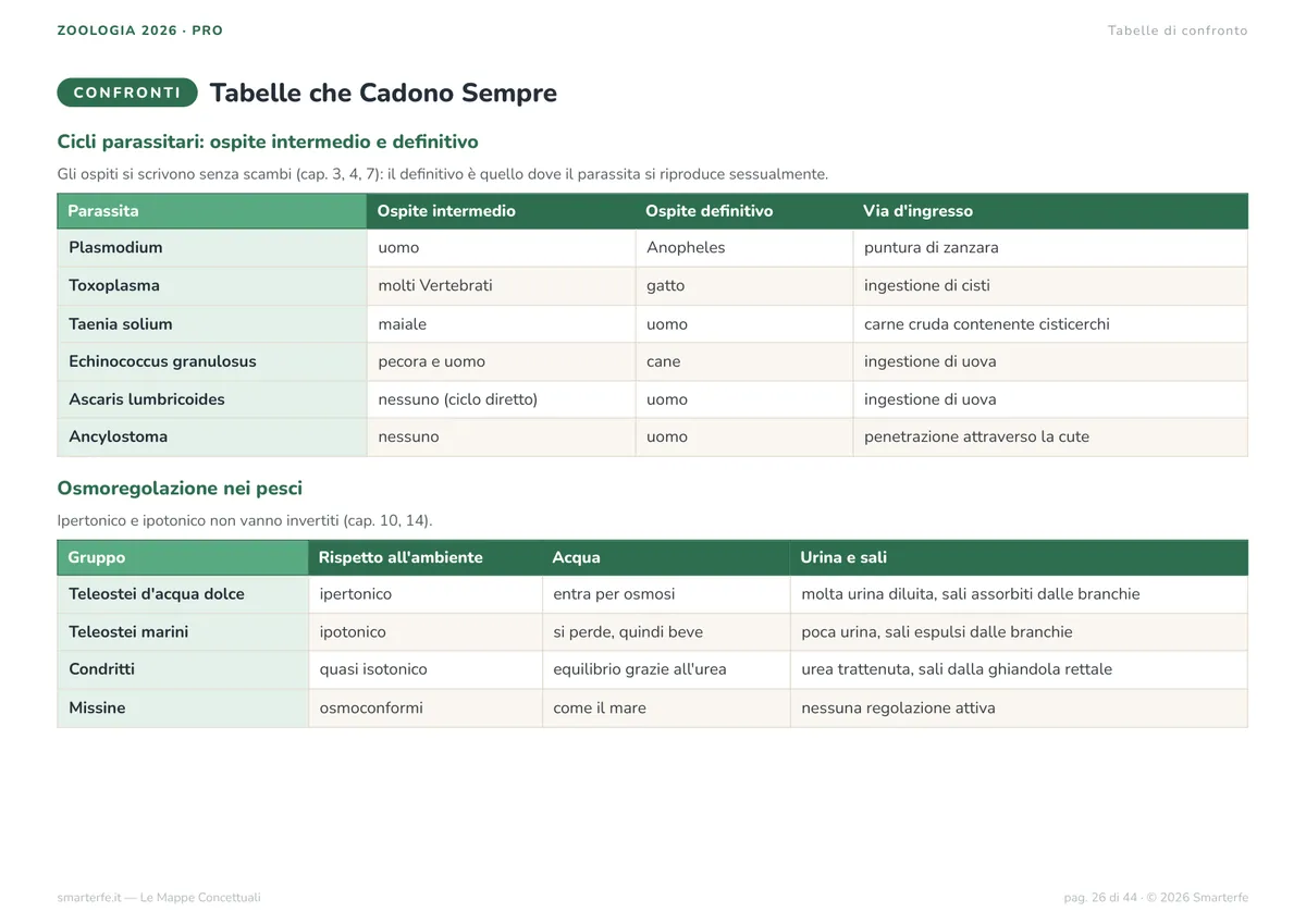 Mappe Concettuali